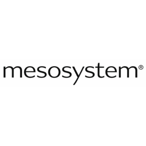 Mesosystem