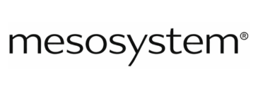 MesoSystem